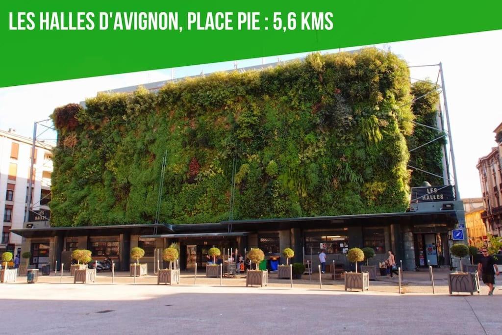 Petit Terme - Piscine - Clim - Parking Apartment Les Angles  Luaran gambar
